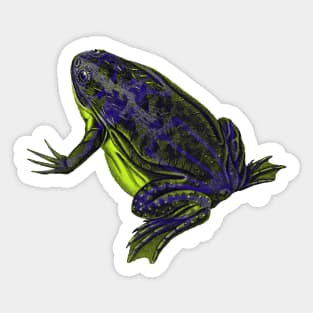 Skeleton Frog Interactive Yellow&Blue Filter By Red&Blue Sticker